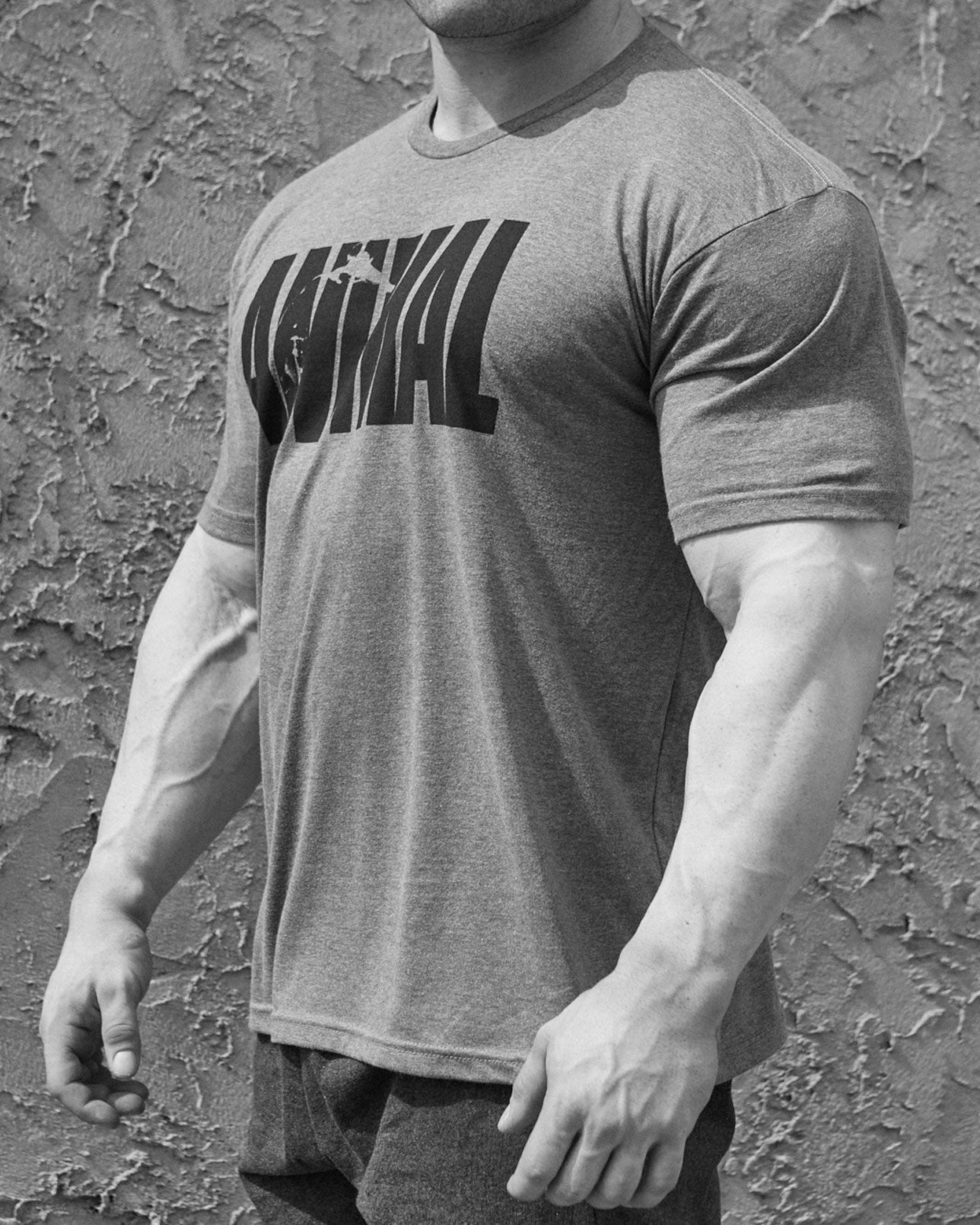 ANIMAL T-SHIRT (ICONIC TEE) GREY