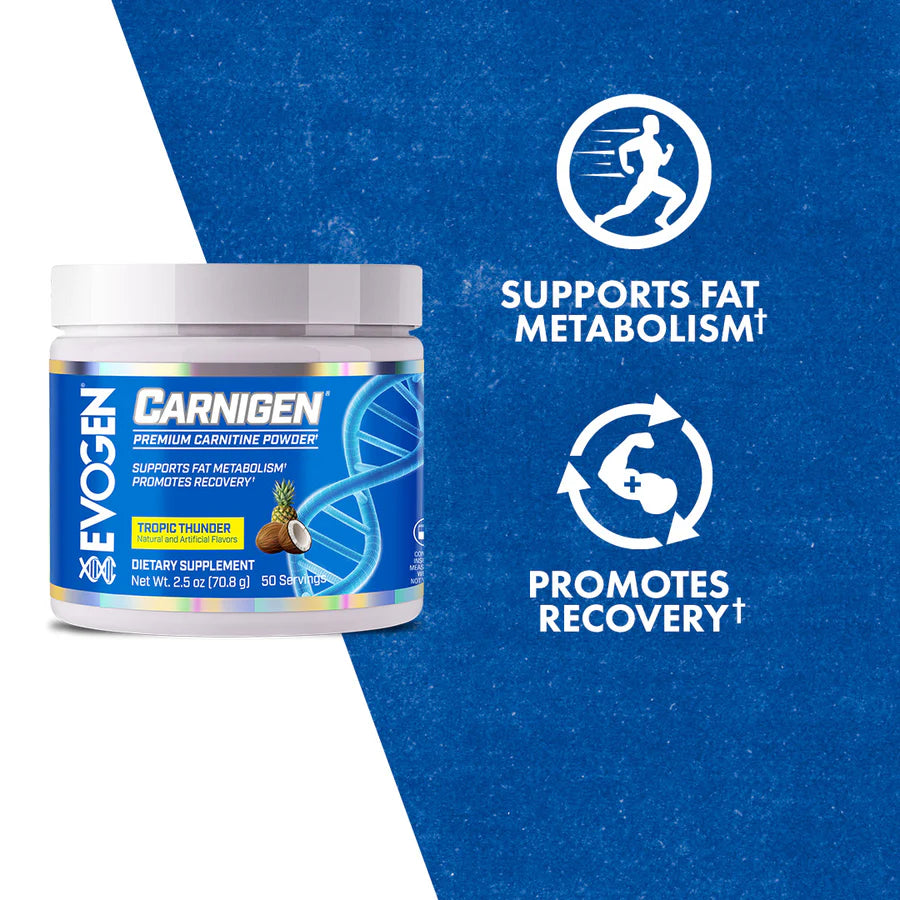 EVOGEN NUTRITION Carnigen – Premium Carnitine – 80 g Dose (50 Portionen)