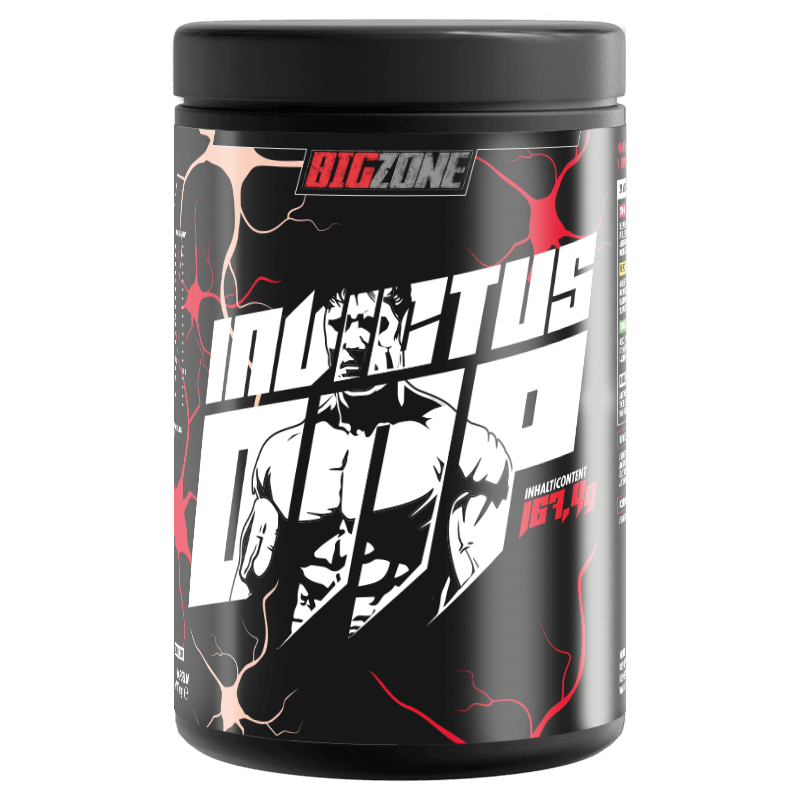 BIG ZONE Invictus DNP - 170g (30 Port.)