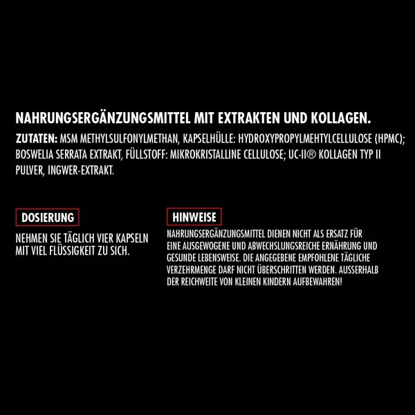 BIG ZONE Joint Protect 2.0 - 120 Kapseln