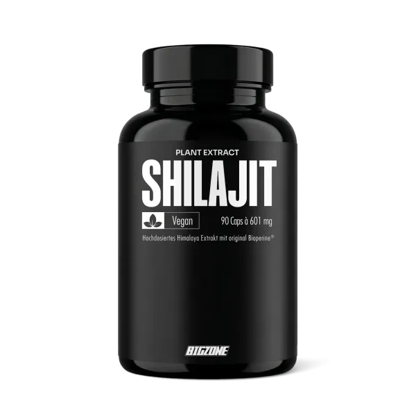 BIG ZONE Shilajit - 90 Caps