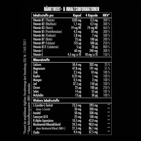 BIG ZONE Vita-Min Inject (Multivitamin) - 120 Kapseln