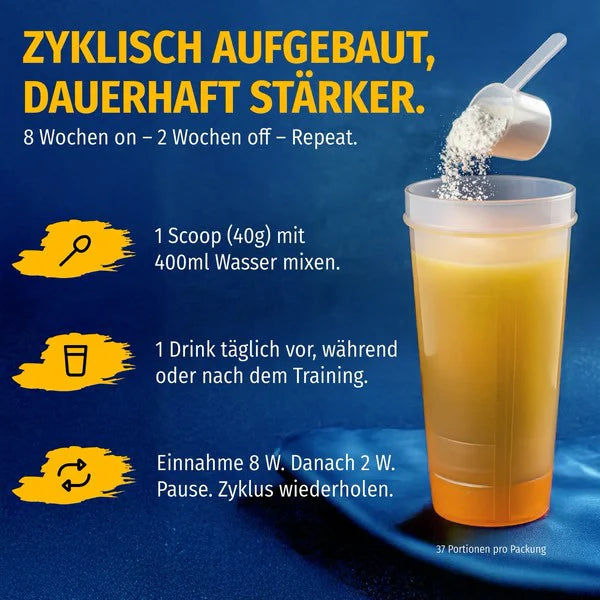 ALL STARS Zell Tech - 1500g